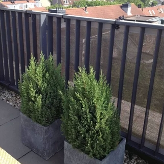 Balkondoek op maat 80%